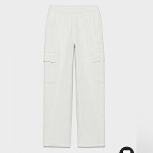 ARITZIA CARGO SWEATPANTS